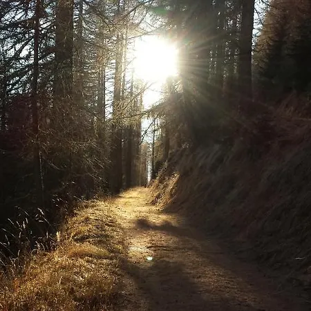 Angela 公寓 Münster