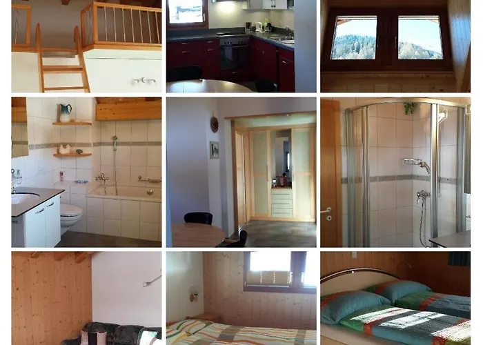 Angela Daire Münster